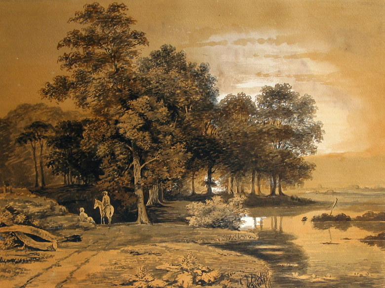 Bosgezicht bij ondergaande zon