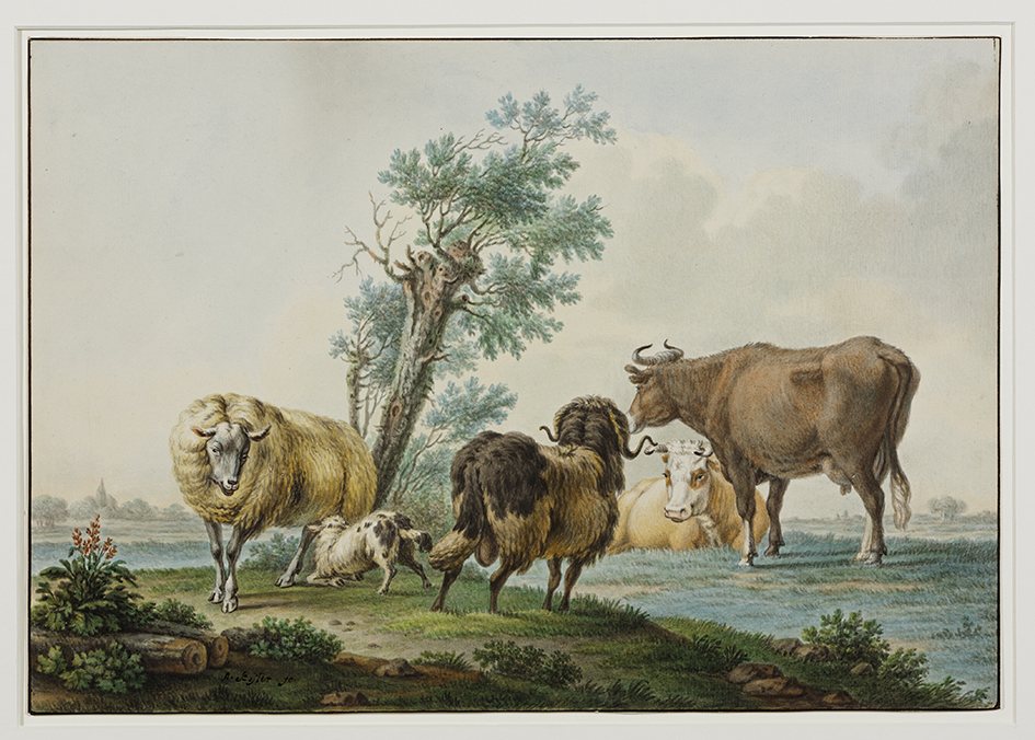 Koeien en schapen bij een boom