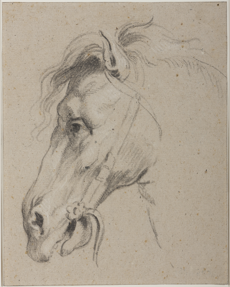 Studie van een paardenhoofd
