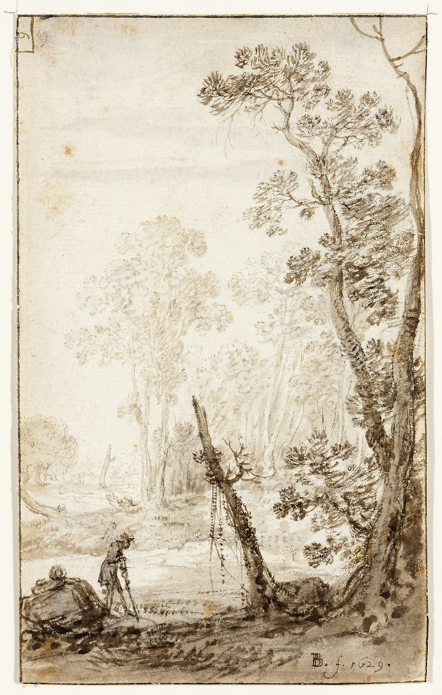 Boomrijk landschap met figuur