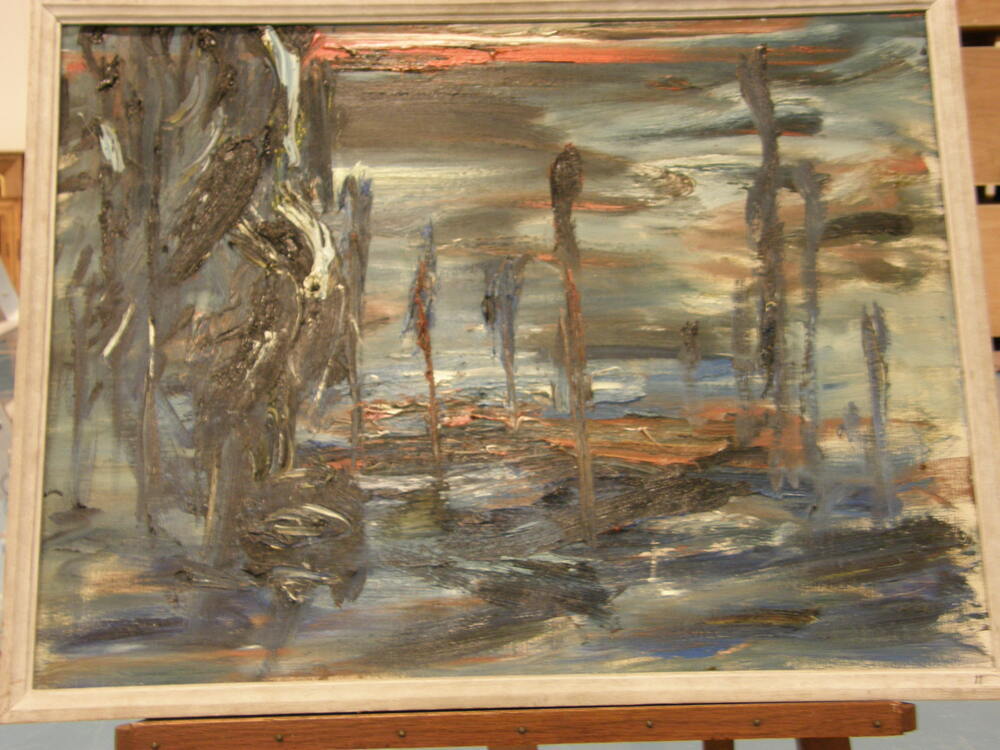 Boomgrens Lapland middernachtzon