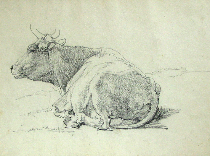 Liggende koe (studie)