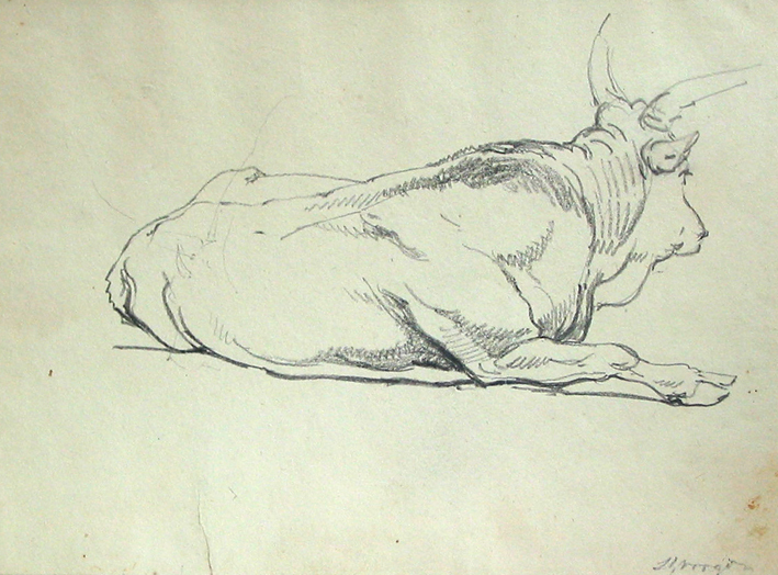 Liggende koe (studie)