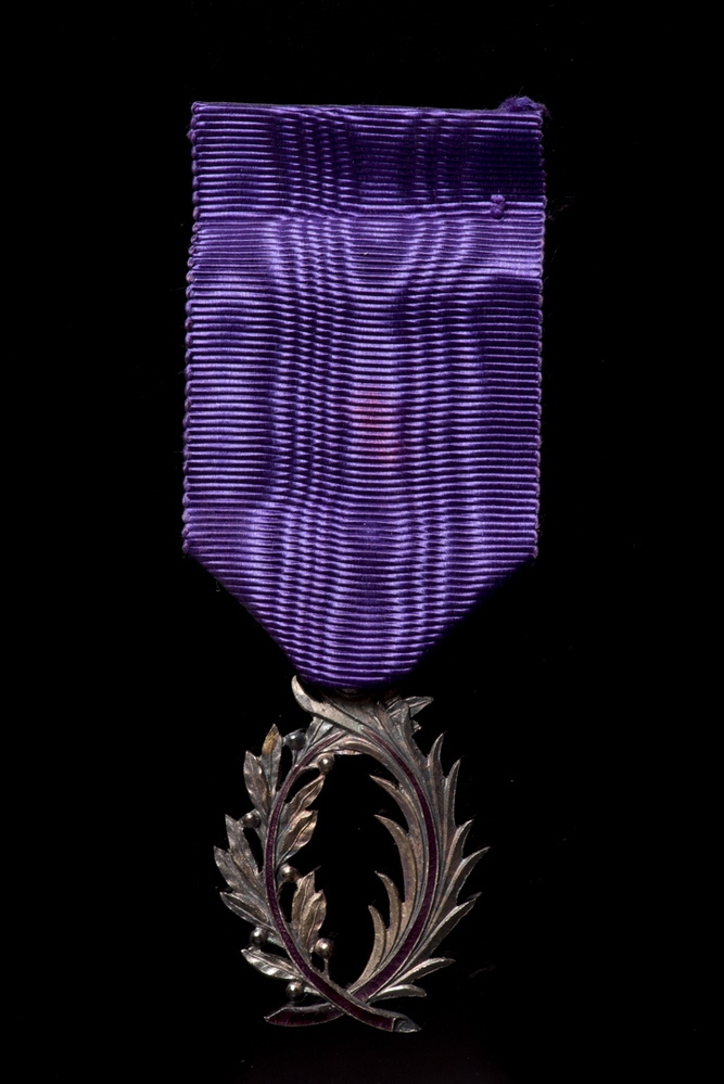 onderscheidingsteken Officier de l'Academie