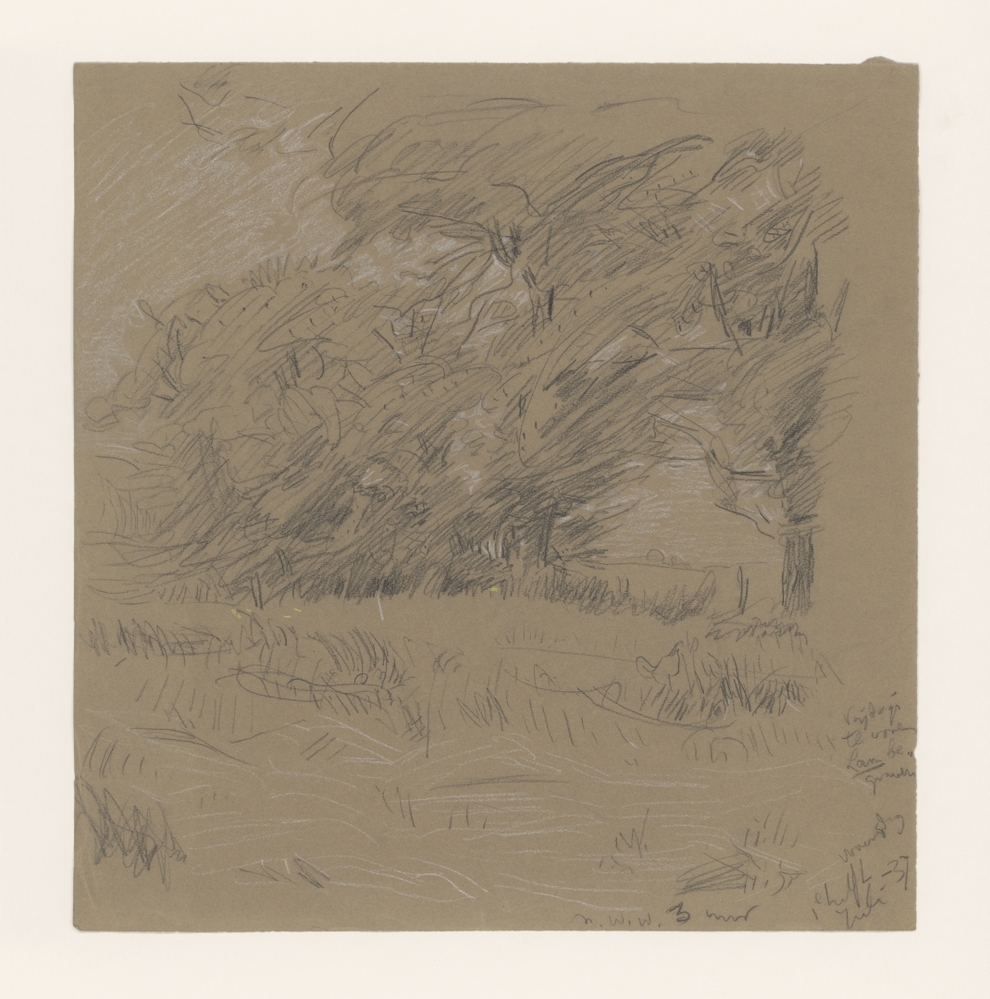 Landschap met bomen en water, bij 't Blauwborgje, Reitdiep