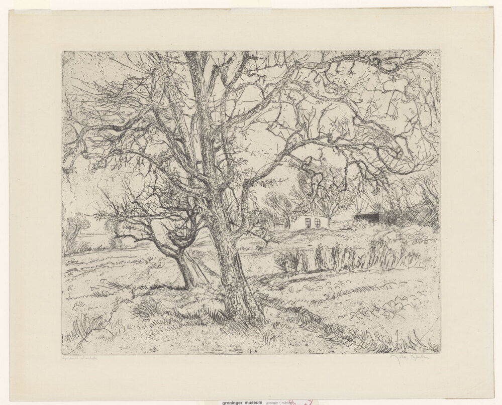 Voorjaar bij Blauwborgje