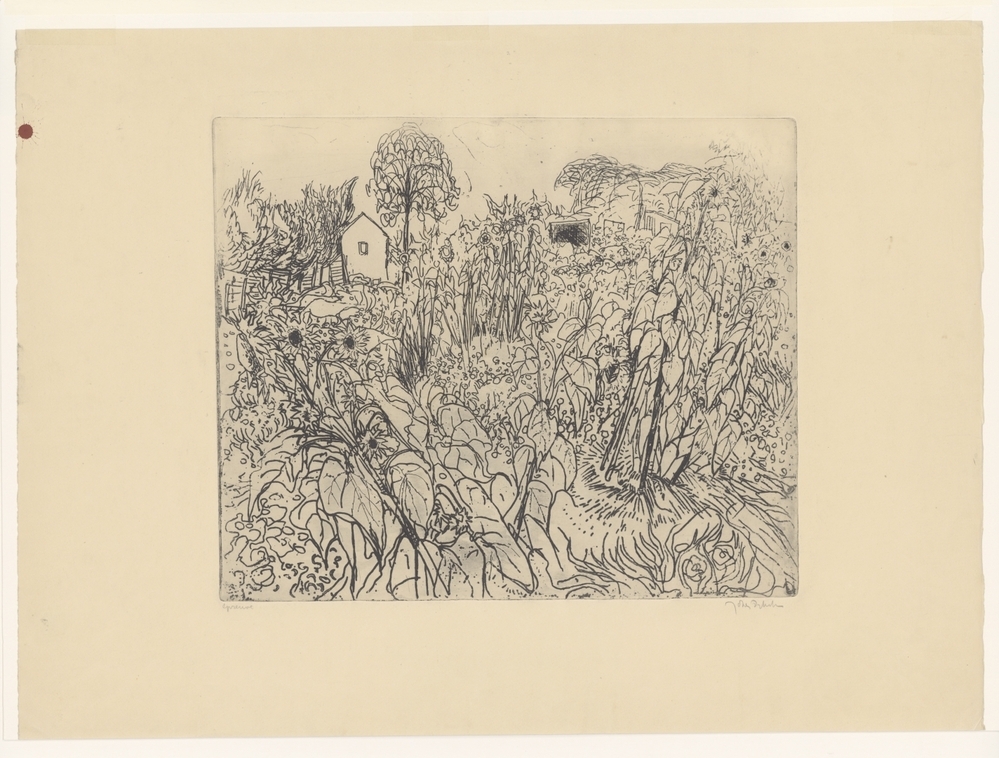 Tuin met zonnebloemen