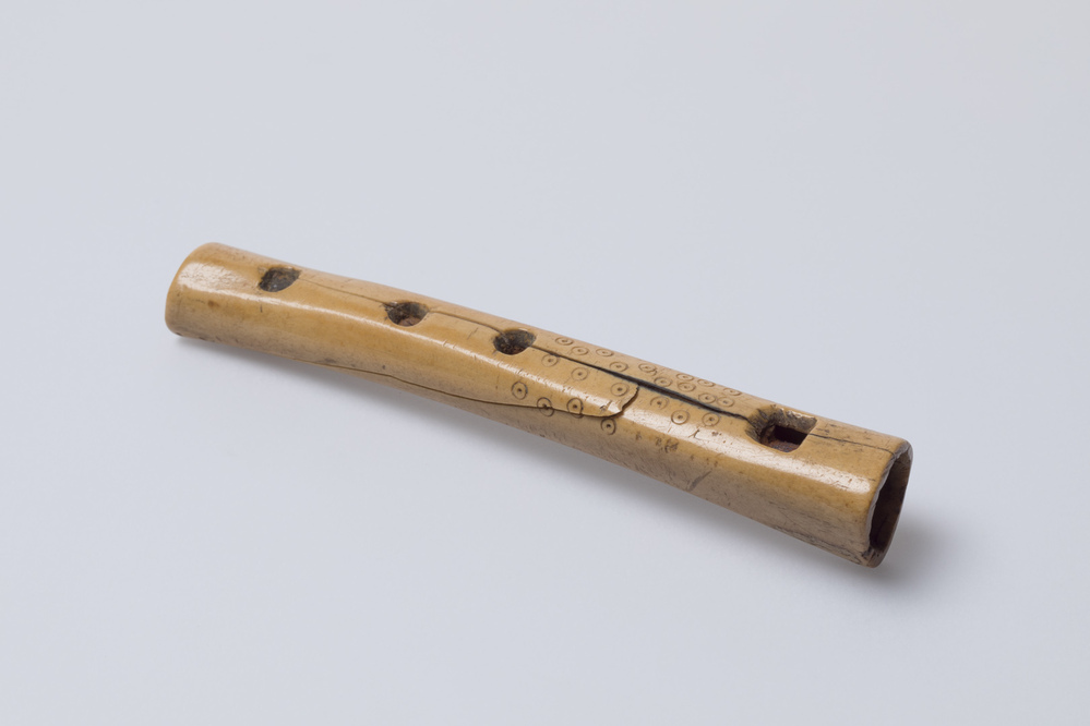 benen fluit (Toornwerd)