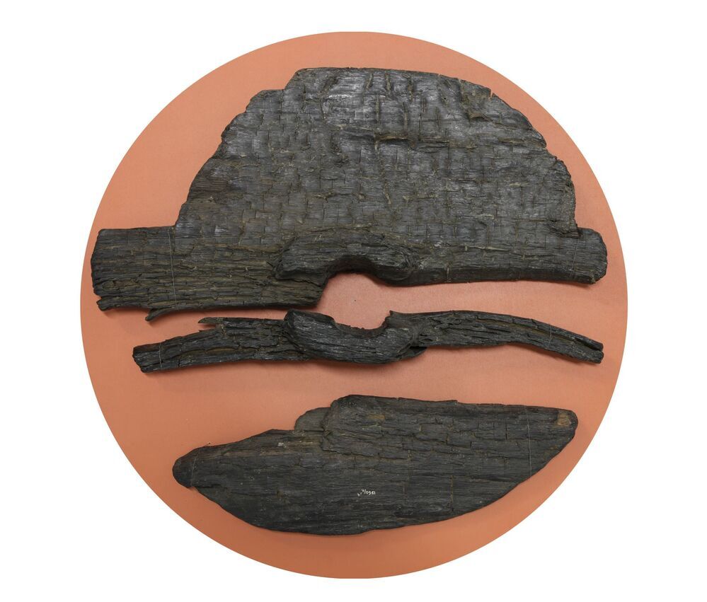 Fragmenten van een wiel (Musselkanaal)