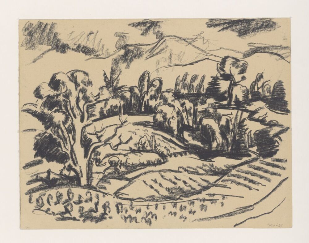 Heuvelachtig landschap