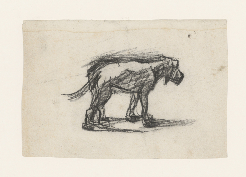 Studie van een staande hond