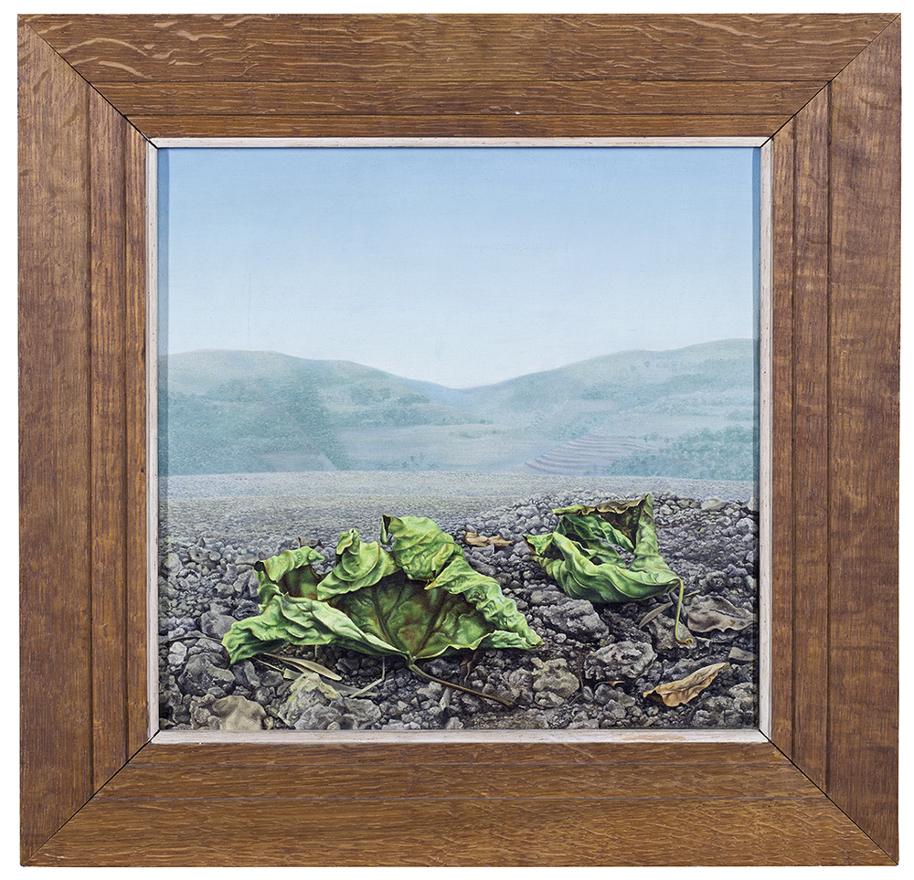 Verdorde vijgenbladeren