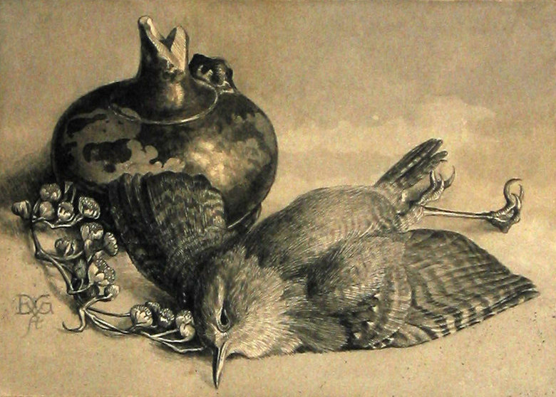 Dood vogeltje bij pul