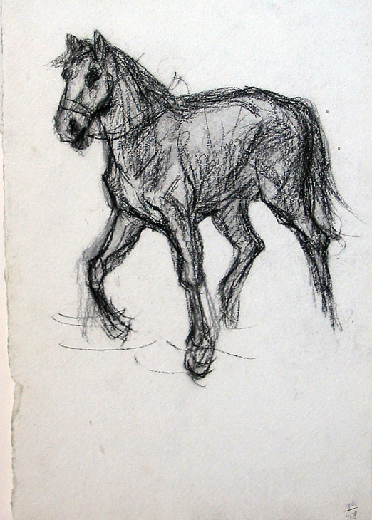 Studie van een paard