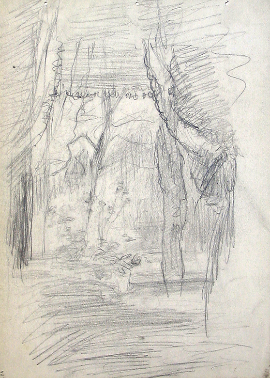 Bloemen voor een venster