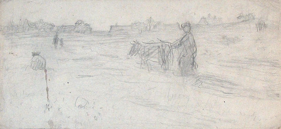 Landschap met koeien