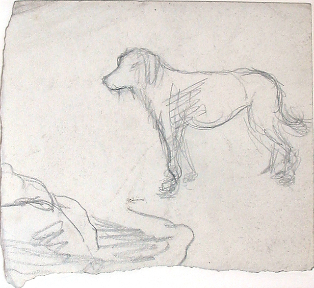 Schets van een staande hond