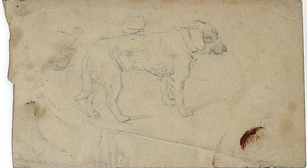 Schets van een staande hond