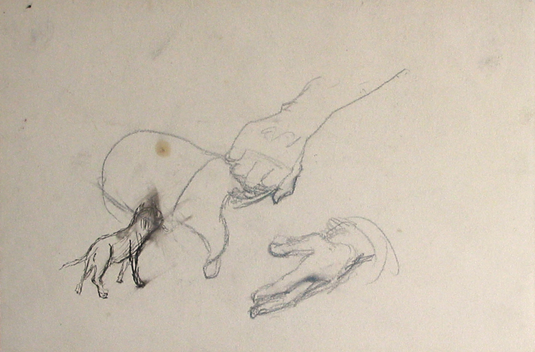 Twee handen, kan en poes