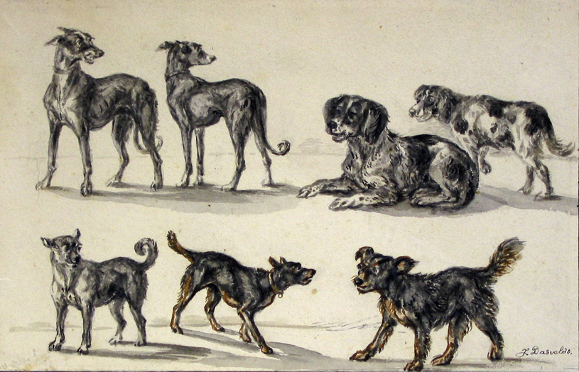 Studieblad met zeven honden