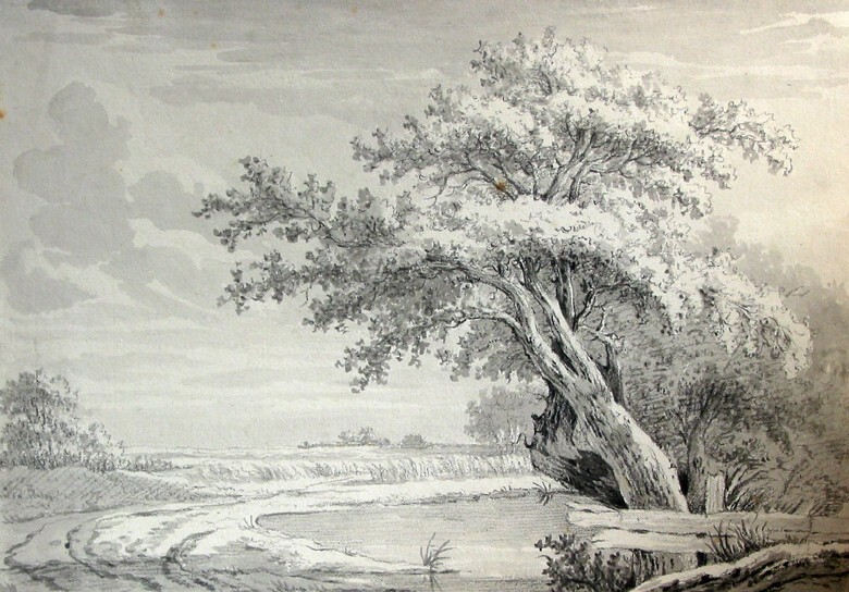 Landschap met eikenbomen aan een ven
