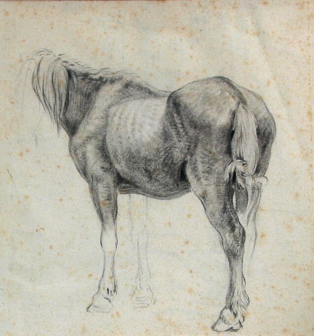 Studie van een paard