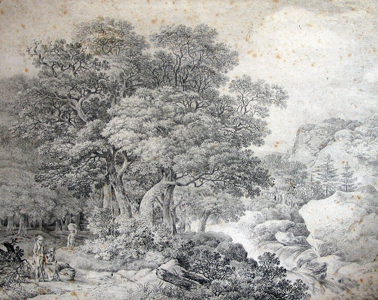 Boslandschap met beek