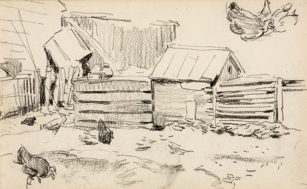 Schuurtjes en kippen