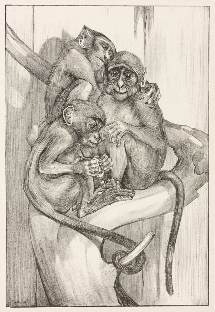 Drie apen op een boomstronk