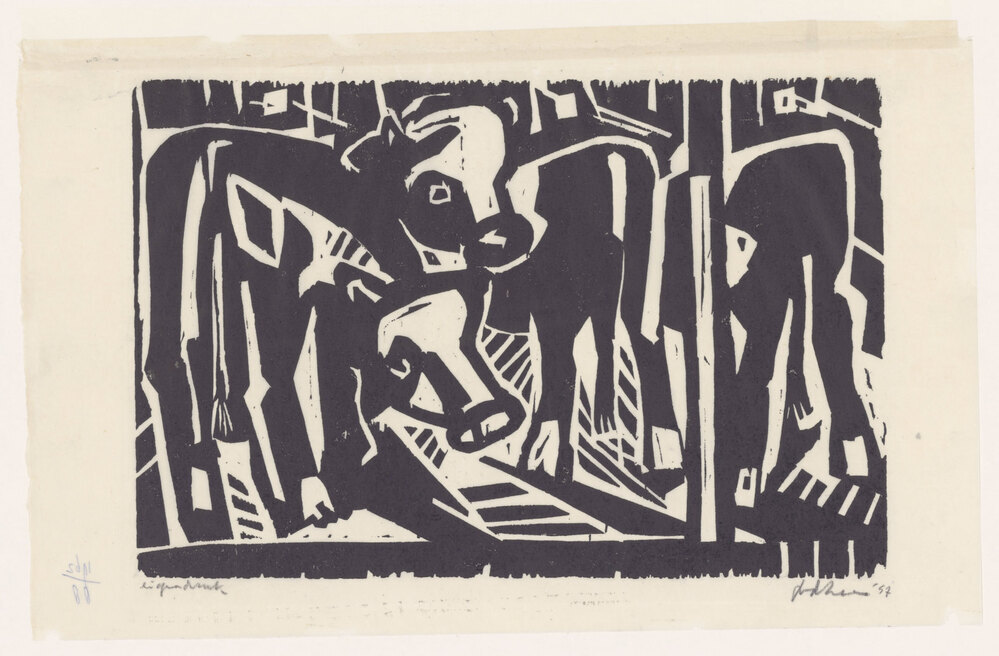 Kalveren in de stal (bij boer Ale de Jong)