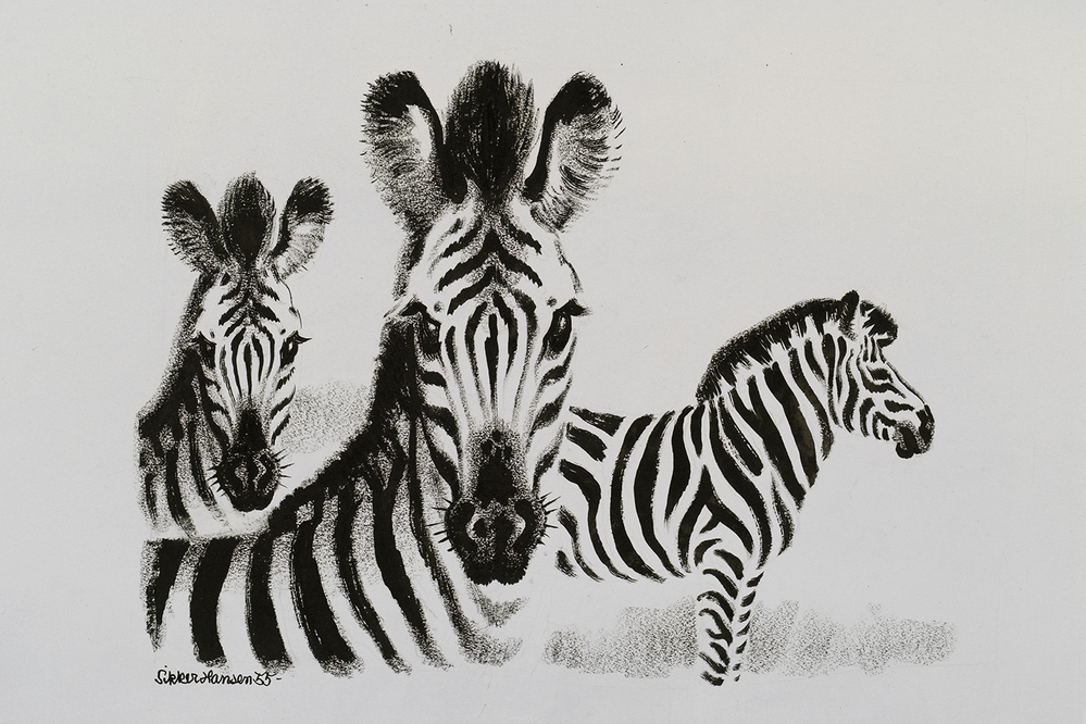 Drie zebra's