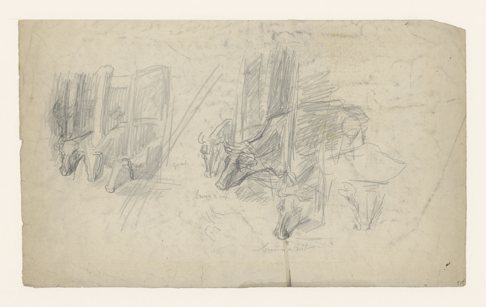 Zes koeien in een stal