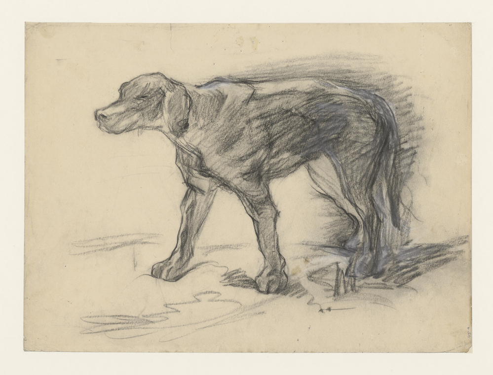 Studie van een trekhond