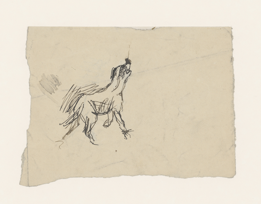 Studie van een blaffende hond