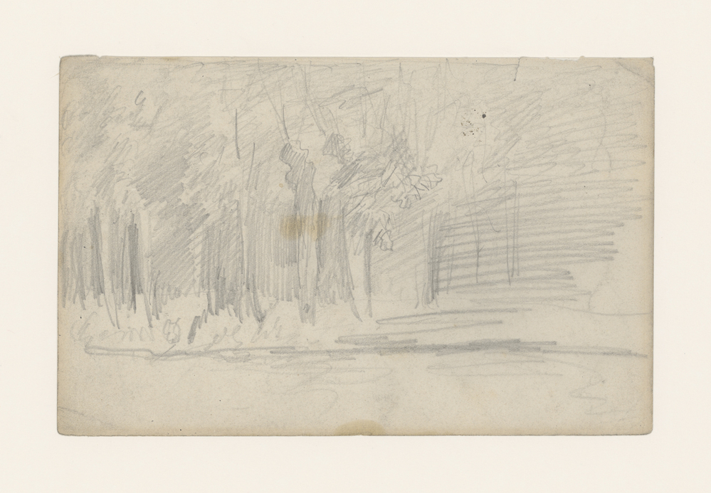 Bomen bij een hekwerk