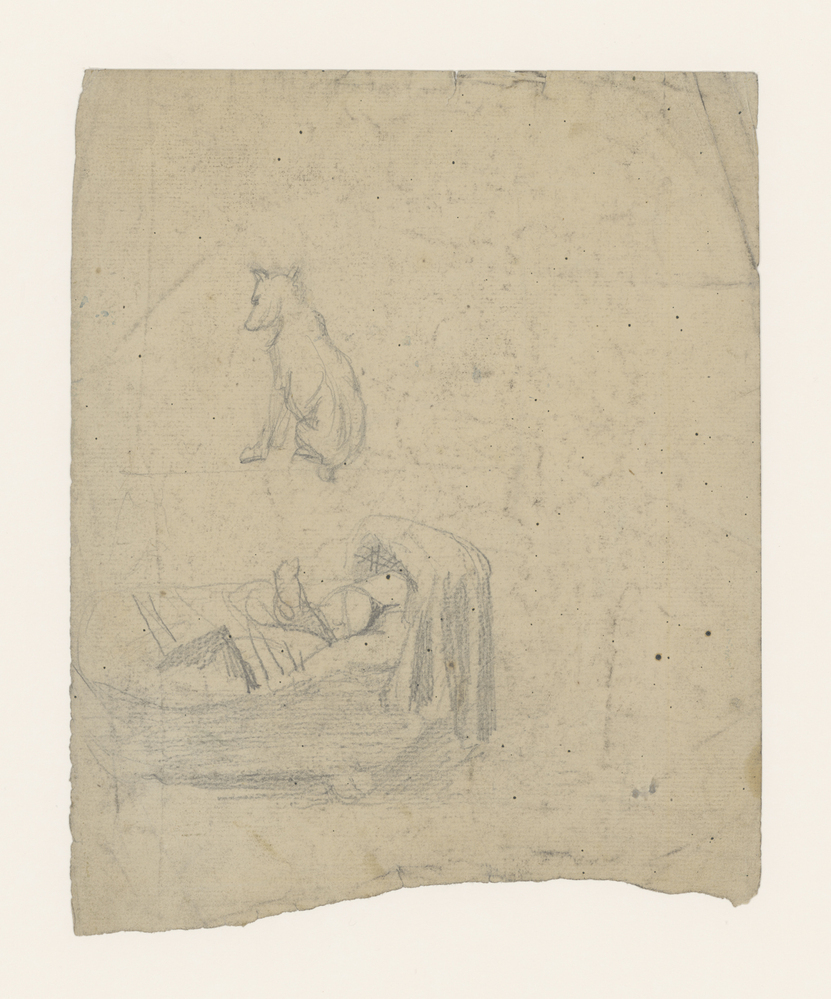 Kind in de wieg en een hond