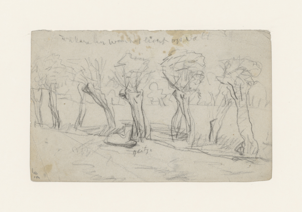 Rij bomen en een geit