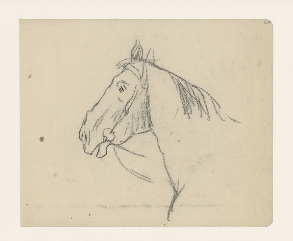 Schets van paardenhoofd naar links