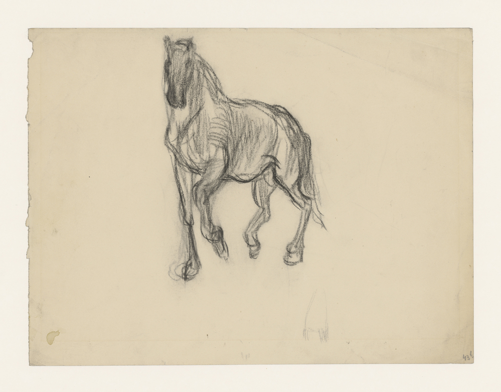 Schets van een dravend paard