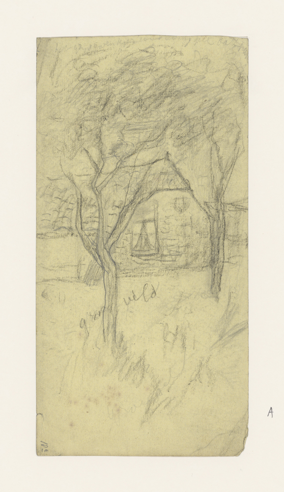 Boerenhuis met twee bomen