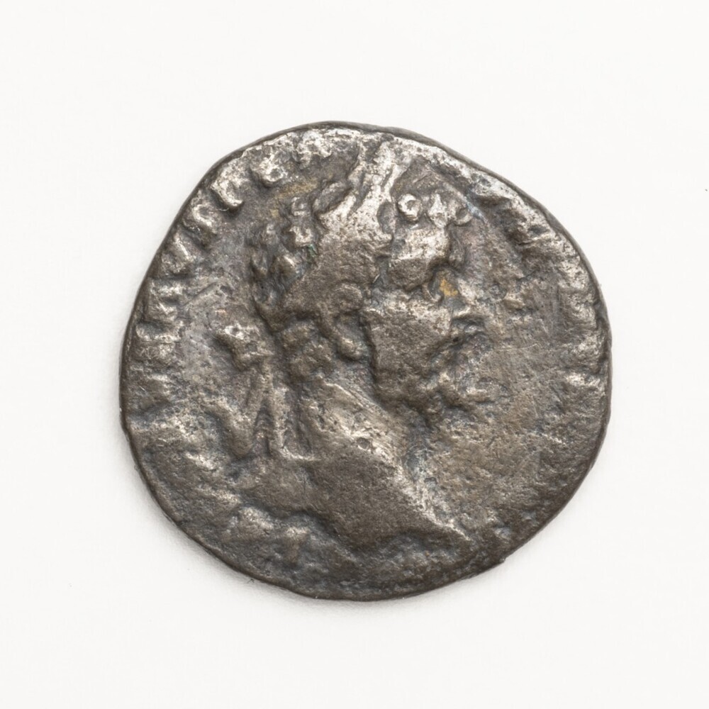 Denarius Septimus Severus (Loppersum)