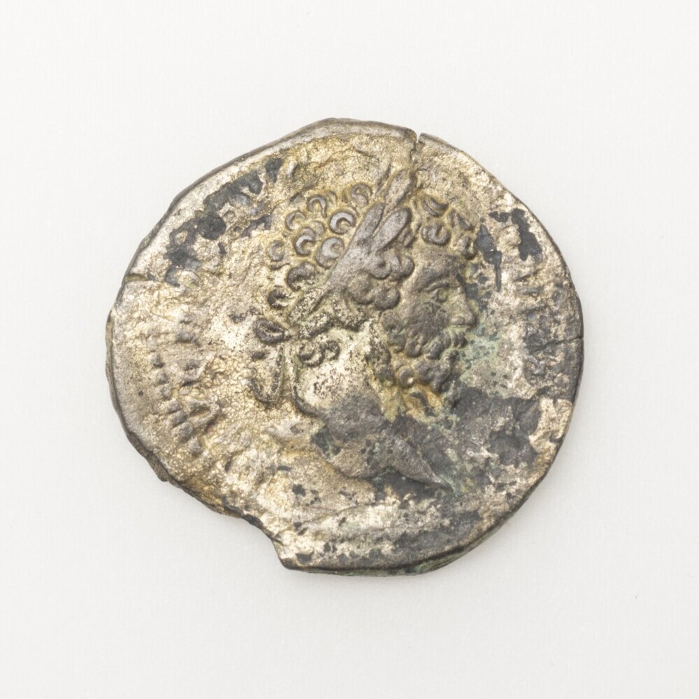 Denarius, Septimus Severus