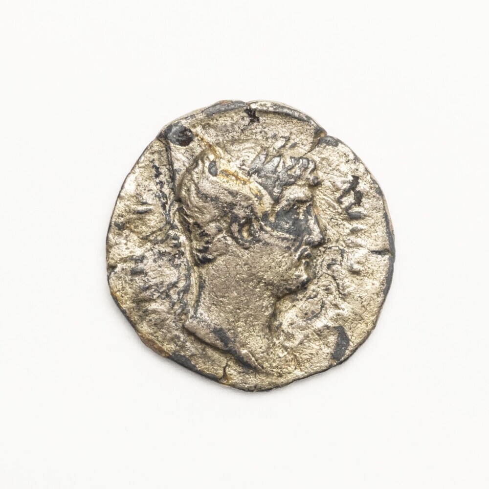 Denarius Hadrianus (Winsum)