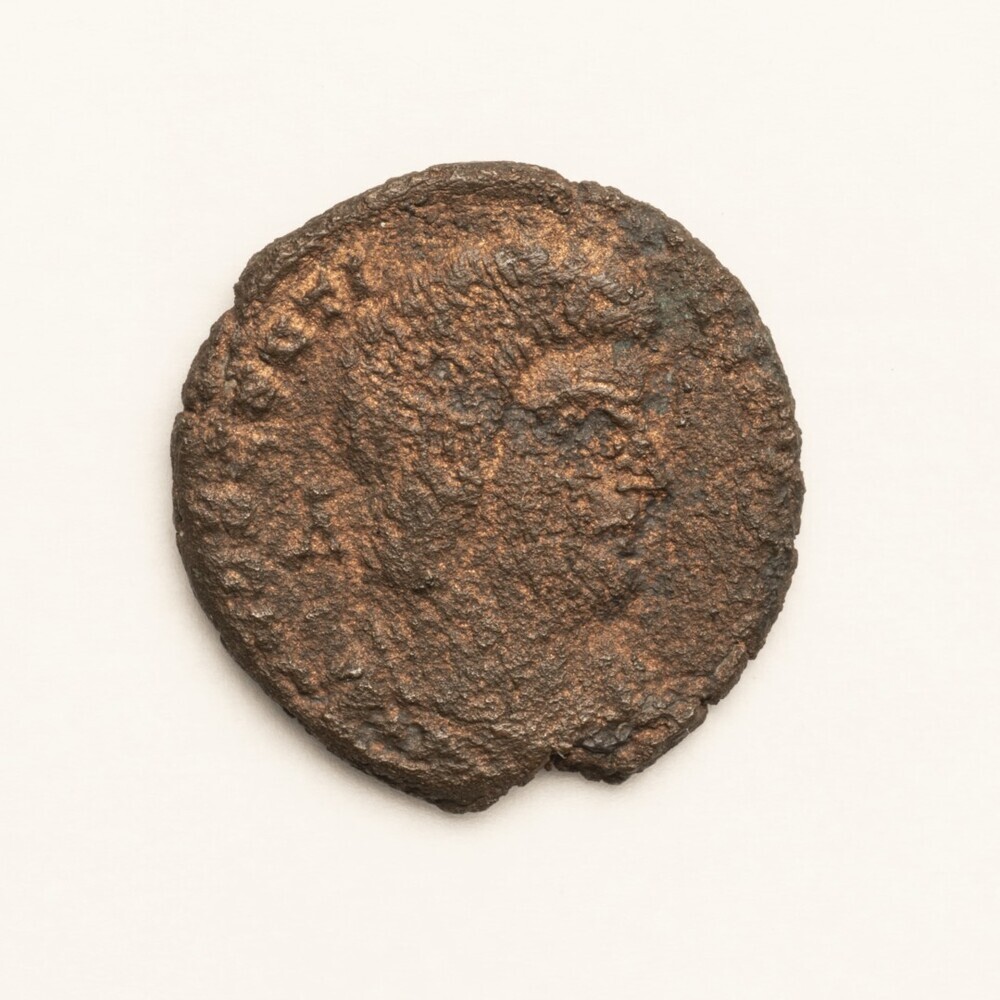 Sestertius; Constans Magnentius voor Decentius