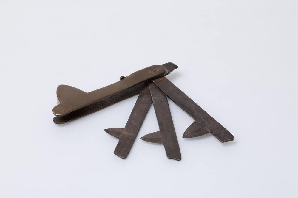 Aderlaatmes of vlijm