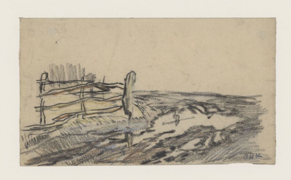 Weiland met sloot en hek