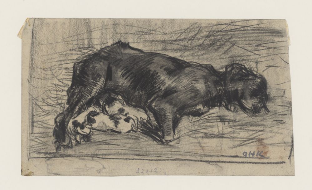 Hond met zogende jongen