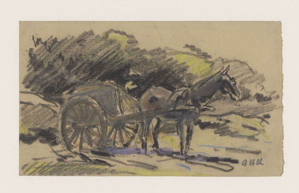 Paard voor tweewielige kar