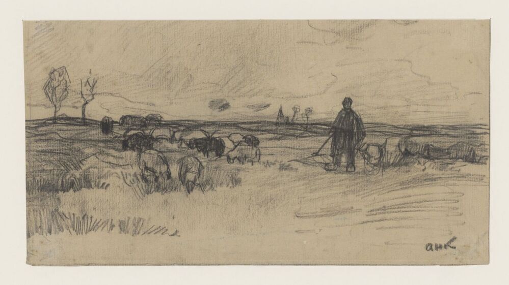 Schepen met kudde op het land