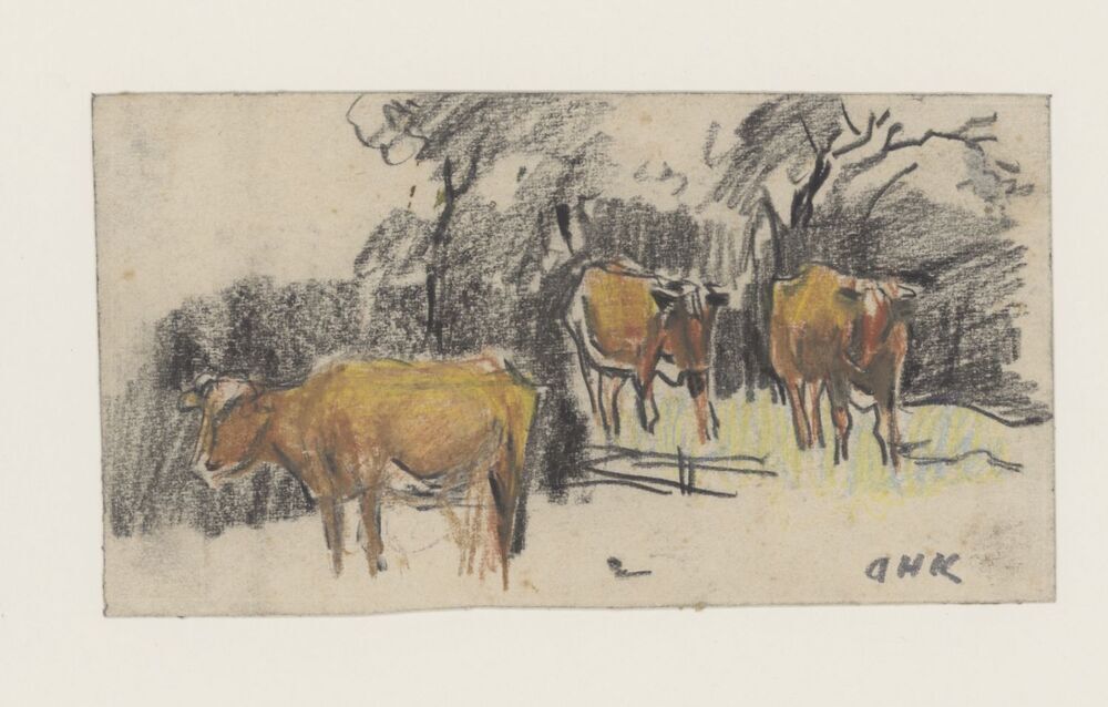 Drie koeien tussen geboomte